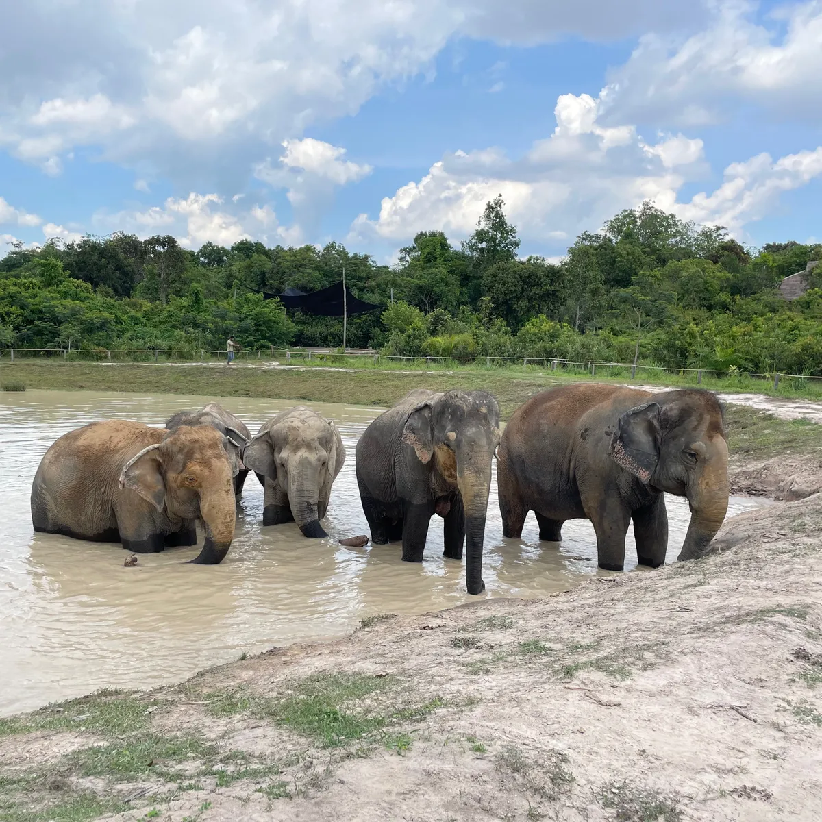 The Bar - Restaurants in Fujairah - photo 5