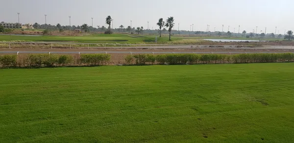  - مطاعم in العين - photo 3