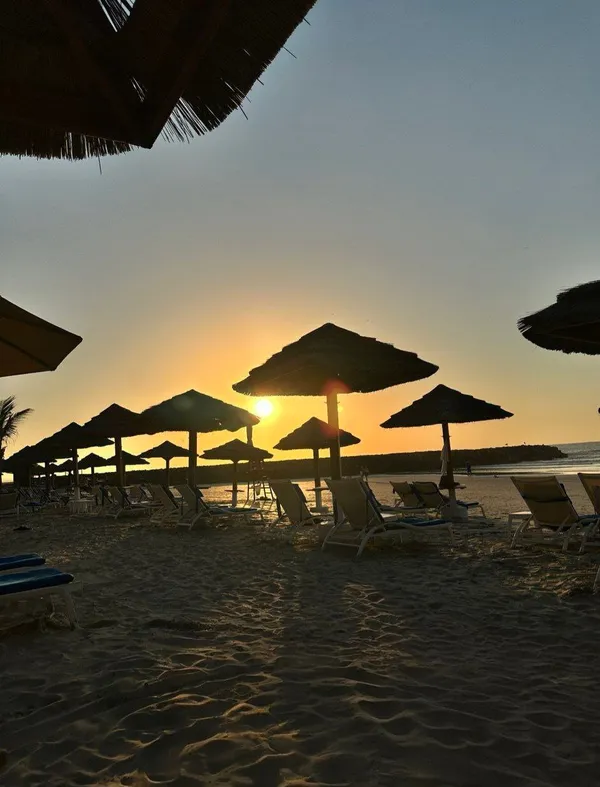  - مطاعم in عجمان - photo 7