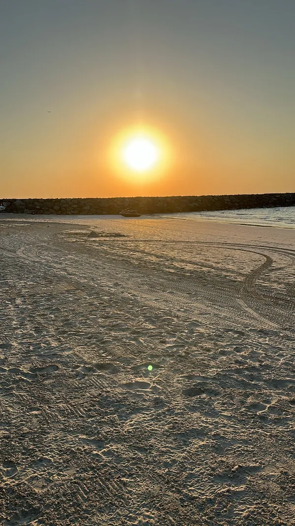  - مطاعم in عجمان - photo 4