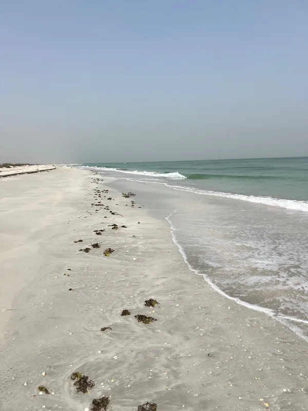 Rehan Al Madina Restaurant - Restaurants in Umm Al Quwain - photo 9