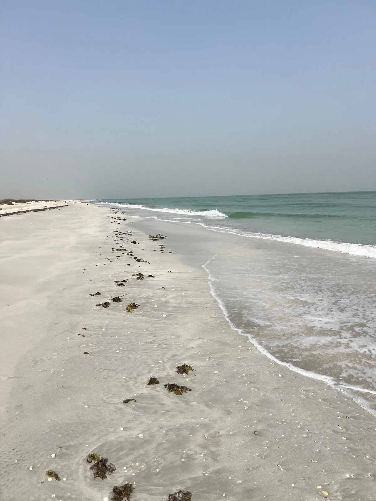 Rehan Al Madina Restaurant - Restaurants in Umm Al Quwain - photo 9