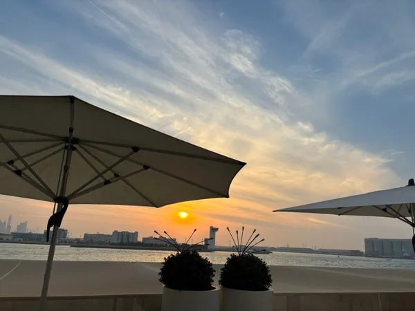 Art Lounge - Restaurants in Abu Dhabi - photo 10