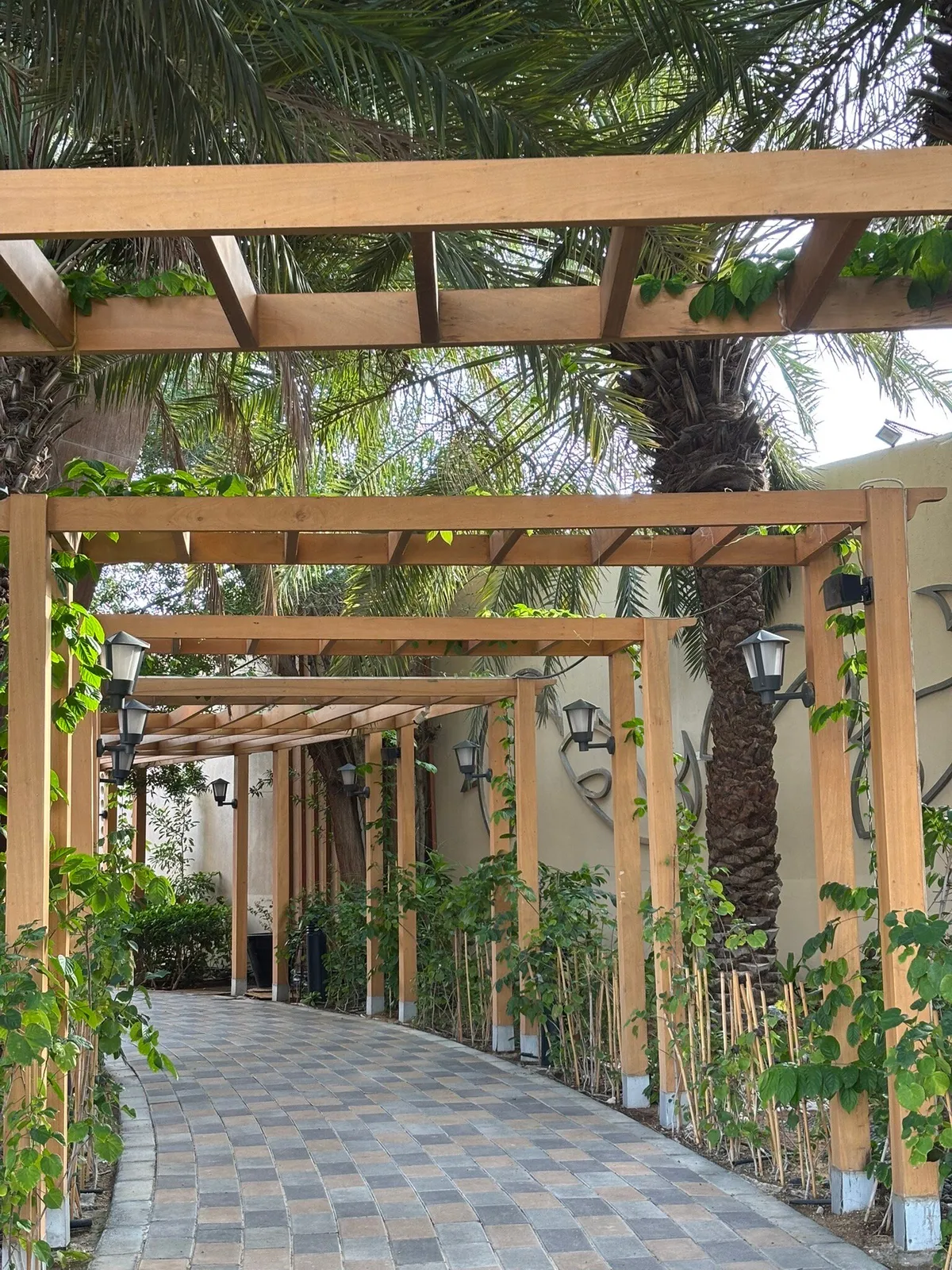  - مطاعم in أبو ظبي - photo 7