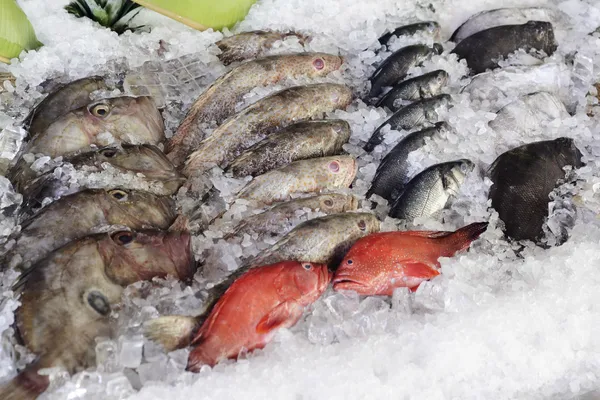  - مطاعم in أبو ظبي - photo 3