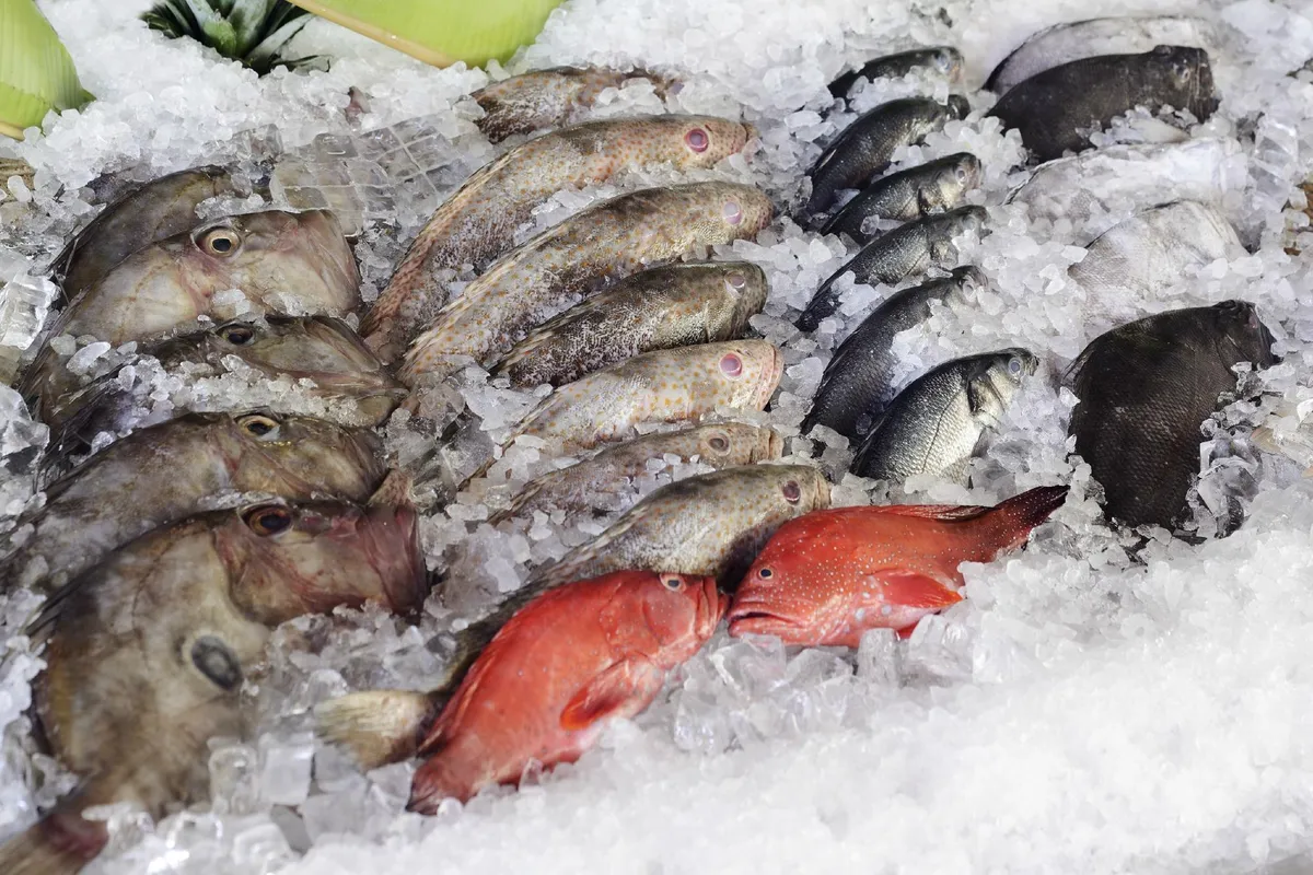  - مطاعم in أبو ظبي - photo 3