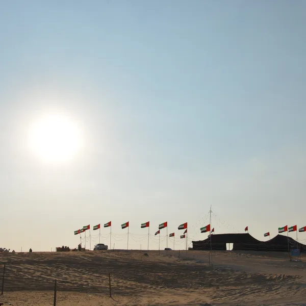  - مطاعم in العين - photo 10