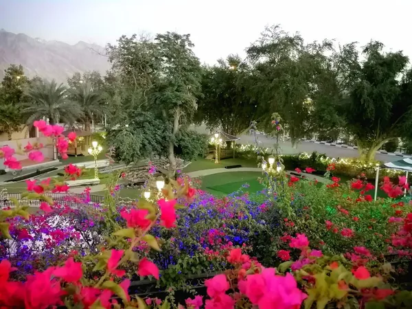 - مطاعم in العين - photo 3