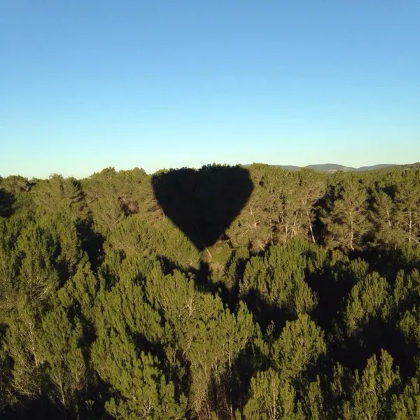 Momo Hut Restaurant - Restaurants in Al Ain - photo 10