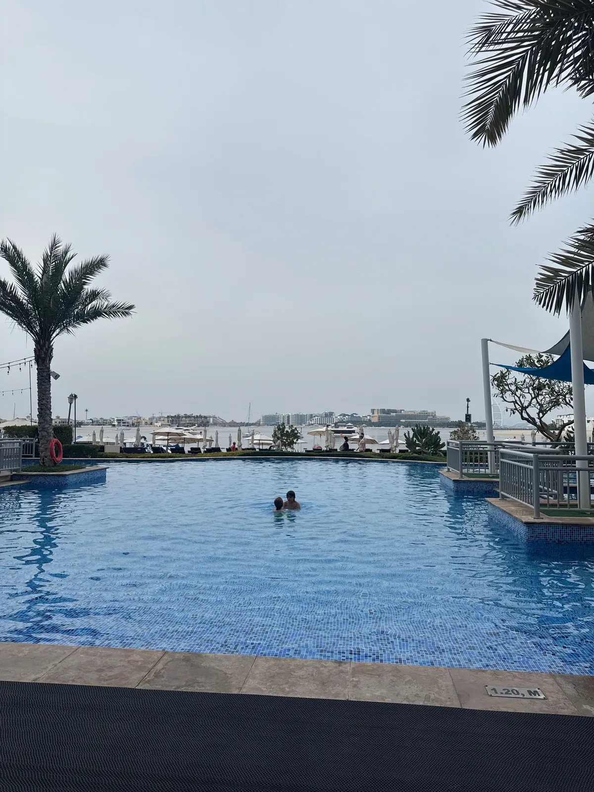 ريڤا بيتش كلوب - مطاعم in دبي - photo 7