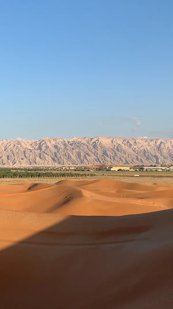 - مطاعم in العين - photo 8