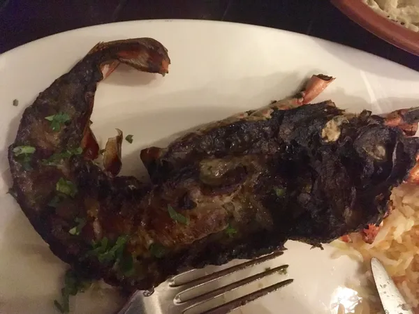  - مطاعم in الفجيرة - photo 8