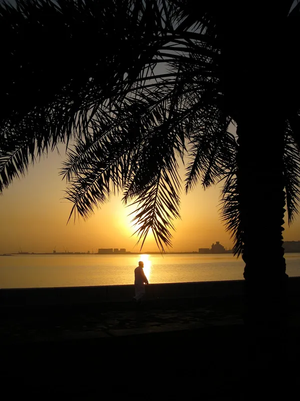 - فنادق in الرياض