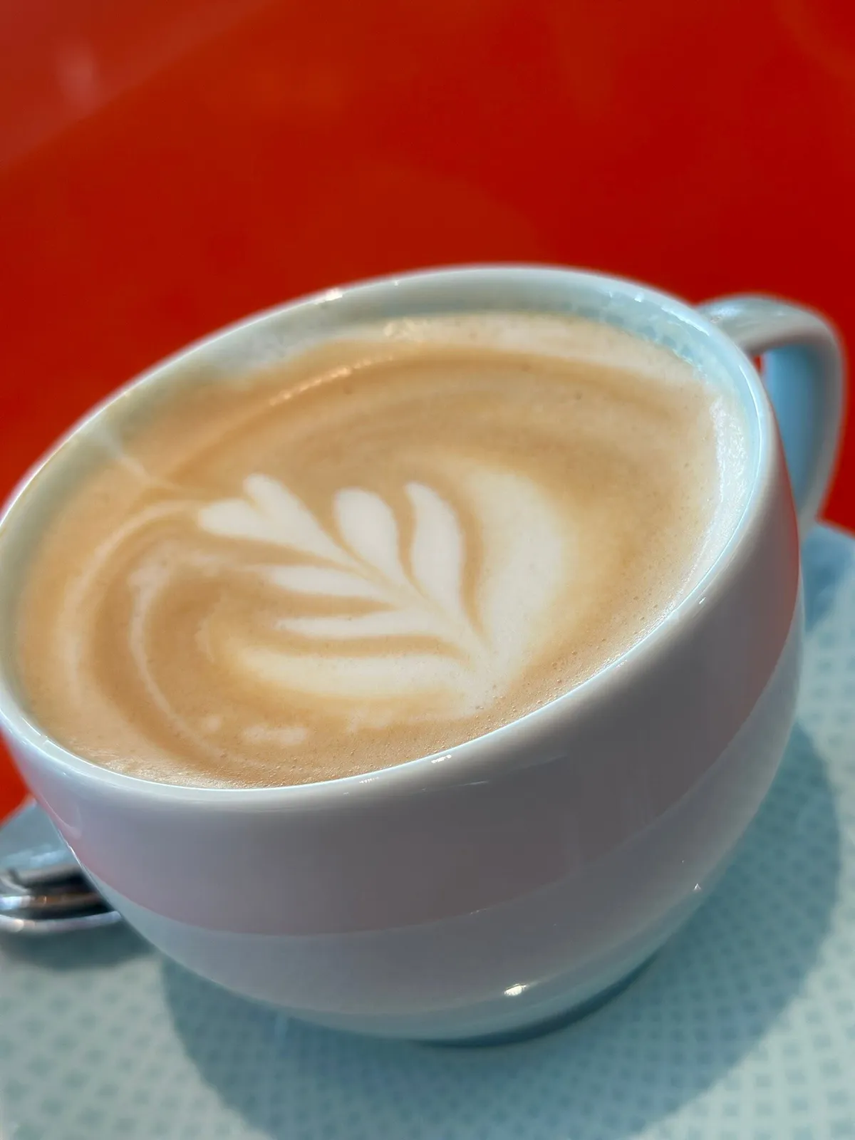 غاسترونومي - مطاعم in دبي - photo 6