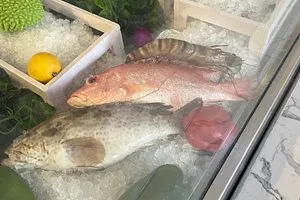  - مطاعم in رأس الخيمة - photo 5