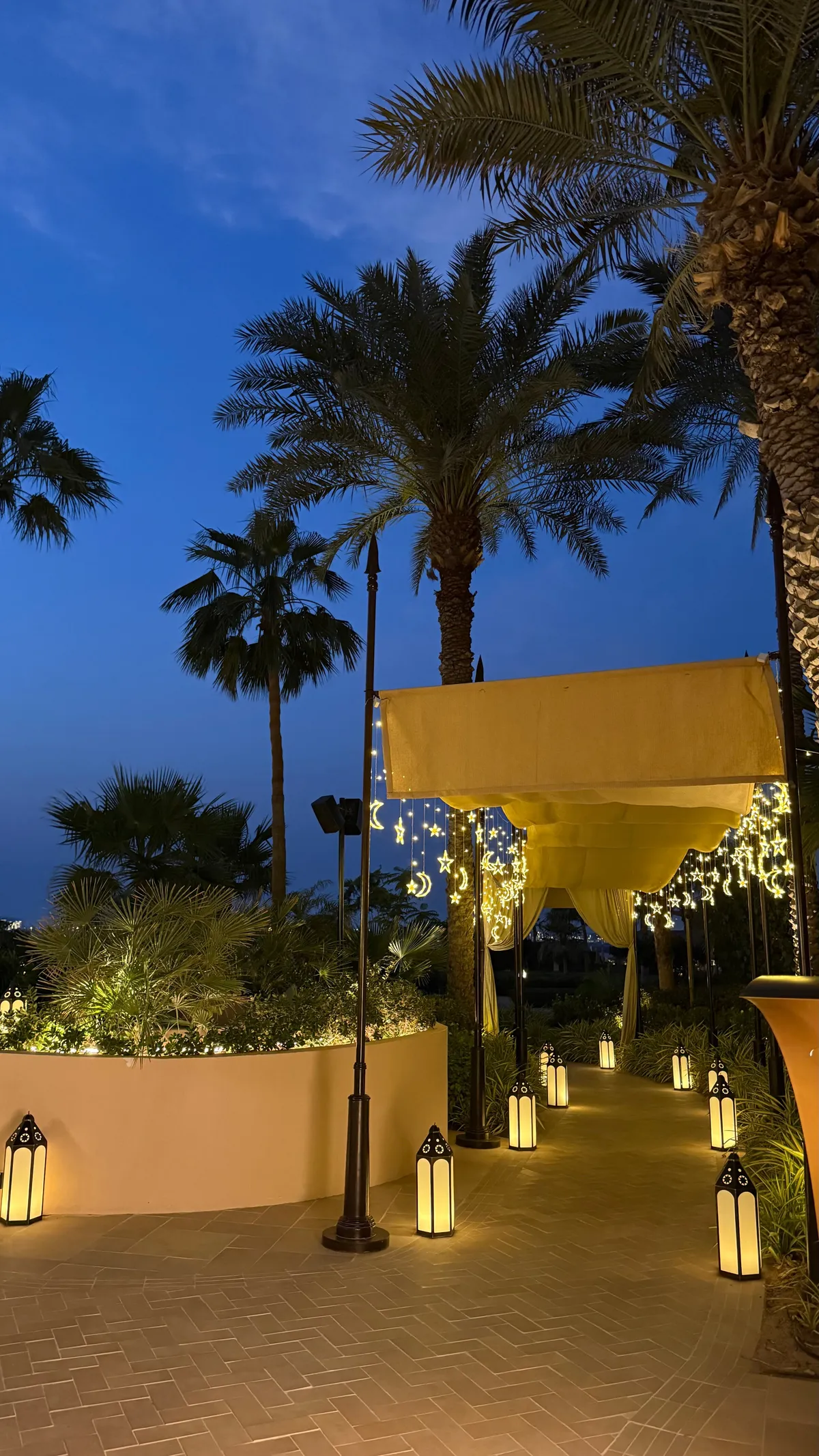 أماسينا - مطاعم in دبي - photo 8