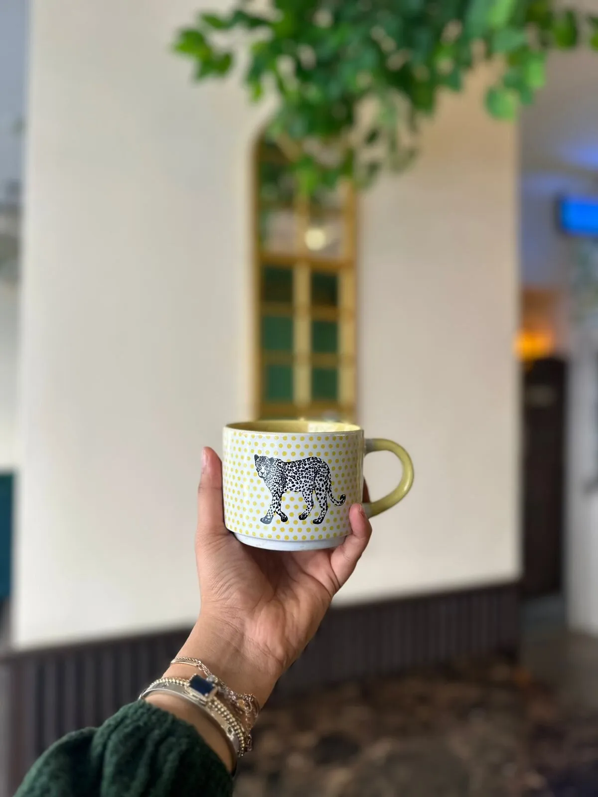 Nature Tree Restaurant - Restaurants in Sharjah - photo 6