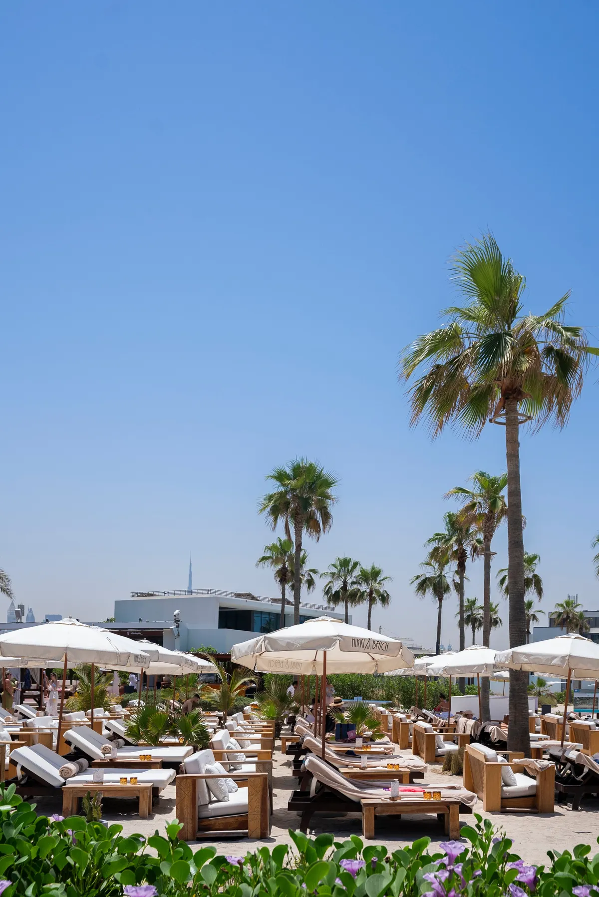نيكي بيتش دبي - مطاعم in دبي - photo 3