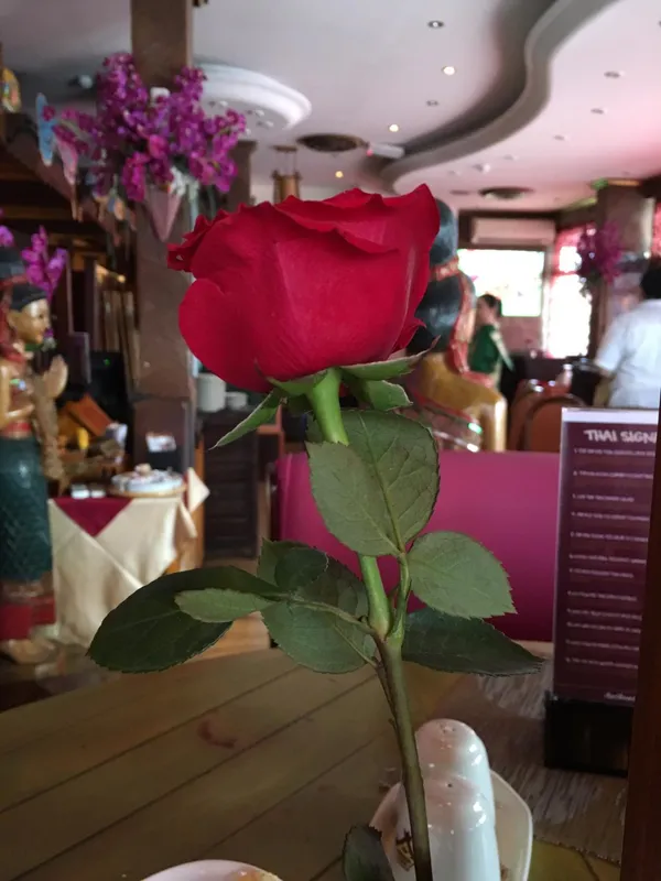  - مطاعم in الشارقة - photo 4