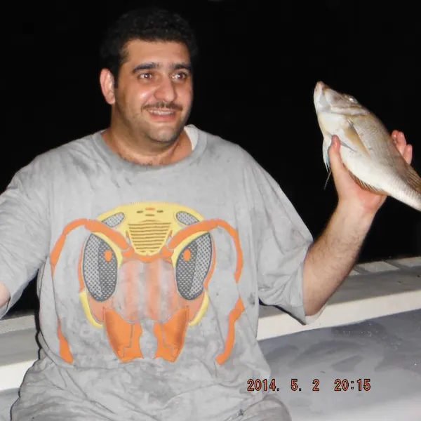 - مطاعم in أم القيوين - photo 4