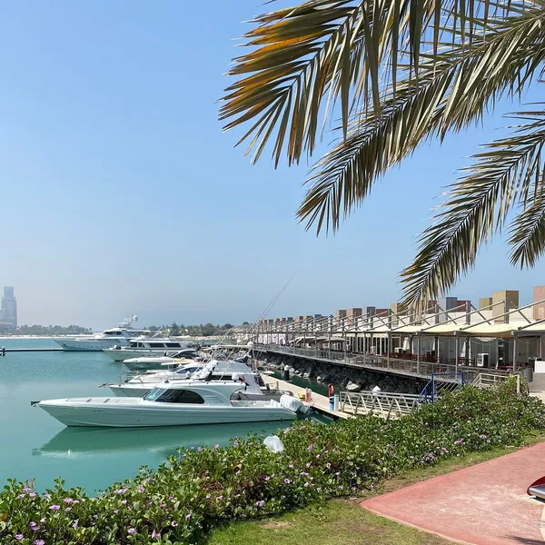  - مطاعم in رأس الخيمة - photo 4