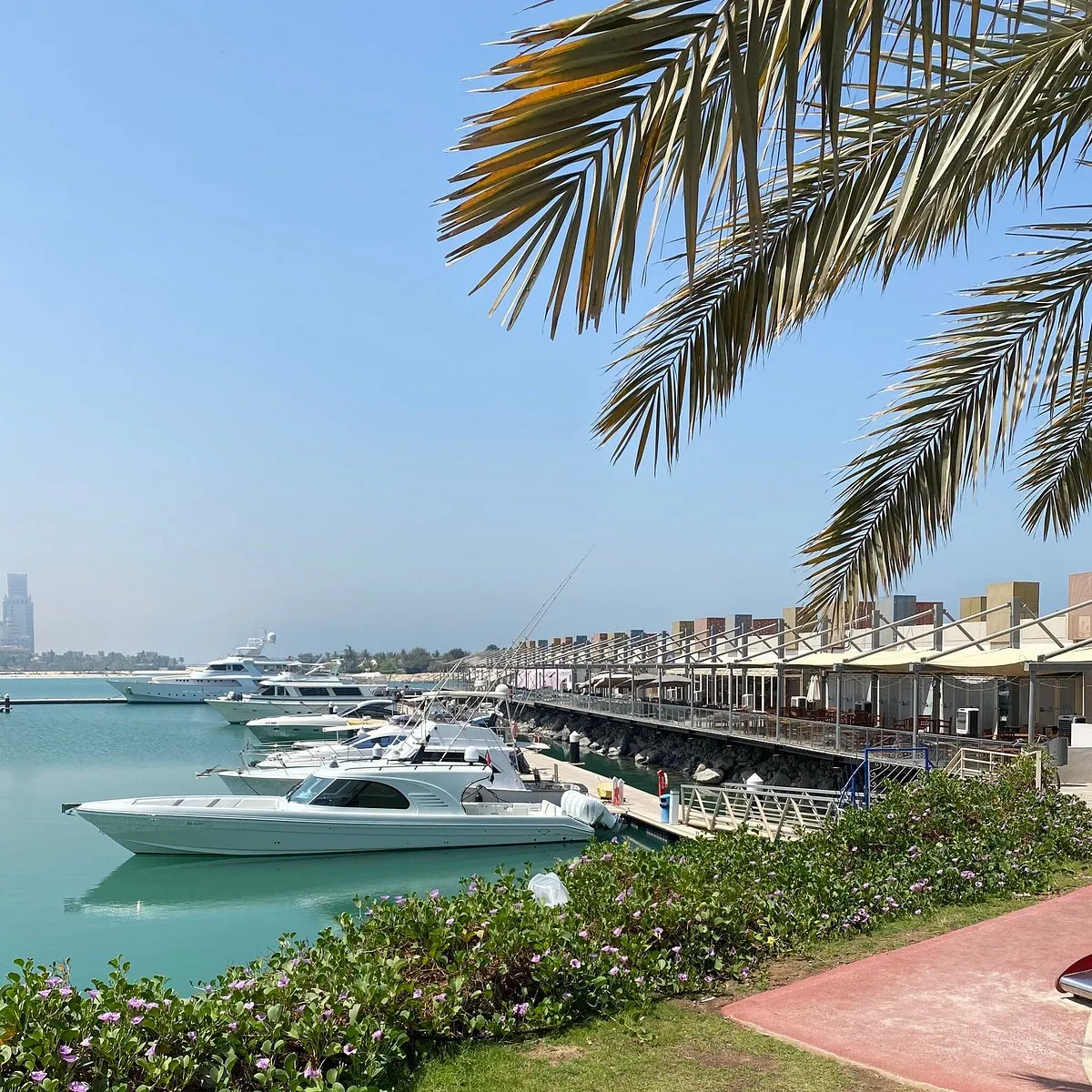  - مطاعم in رأس الخيمة - photo 4