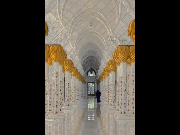  - مطاعم in العين - photo 3