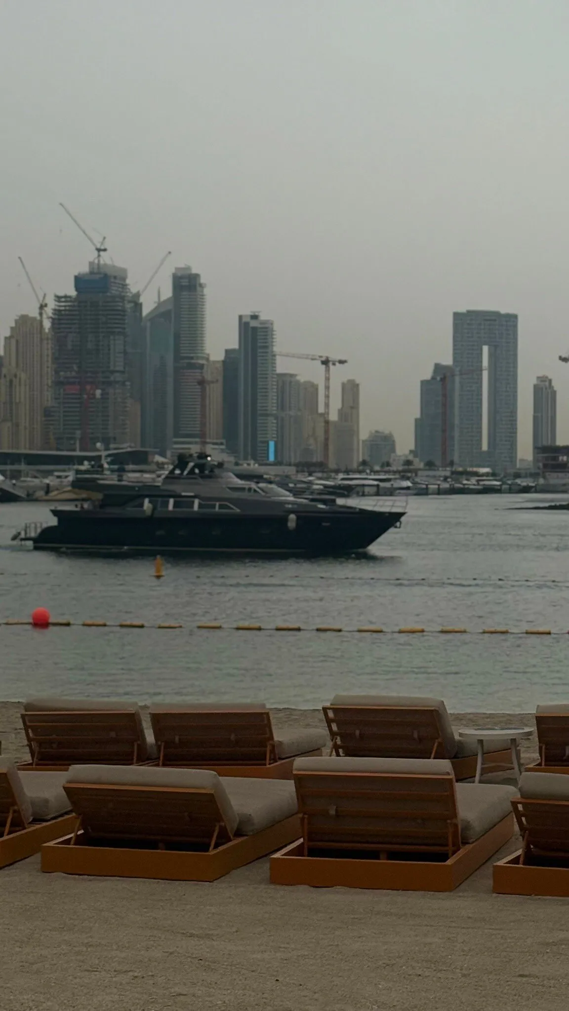 Orange Chameleon Restaurant and Lounge - Restaurants in Dubai - photo 7