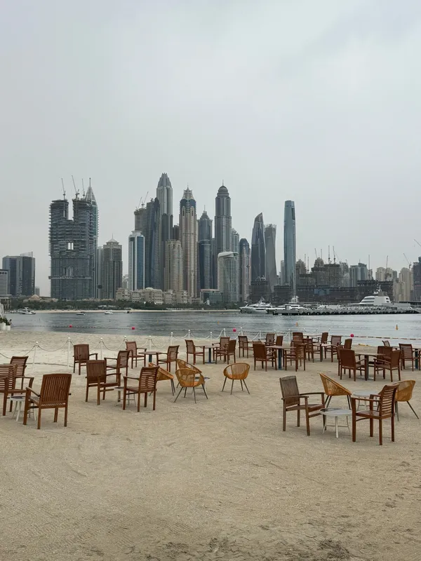 Orange Chameleon Restaurant and Lounge - Restaurants in Dubai - photo 8