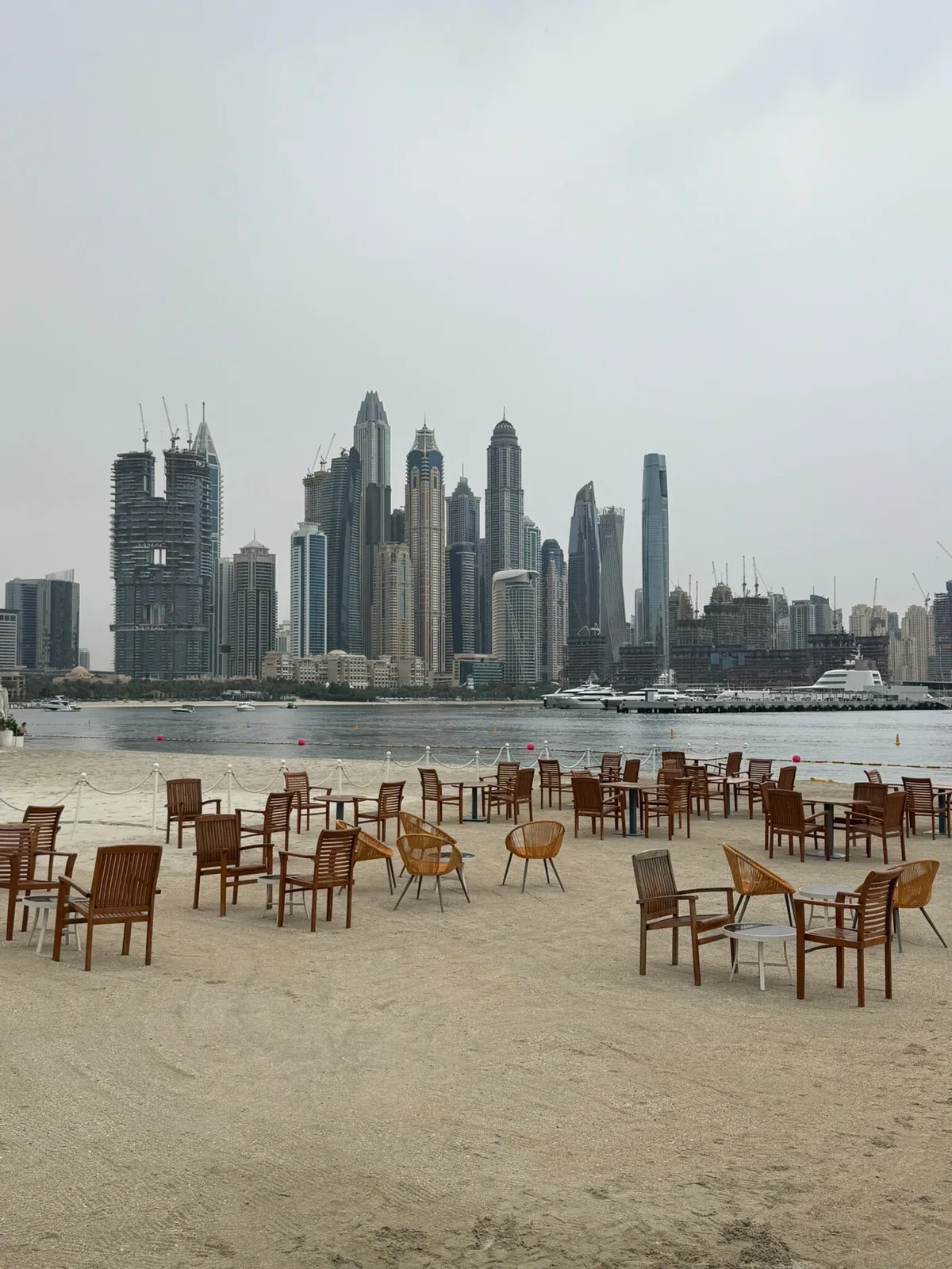 Orange Chameleon Restaurant and Lounge - Restaurants in Dubai - photo 8