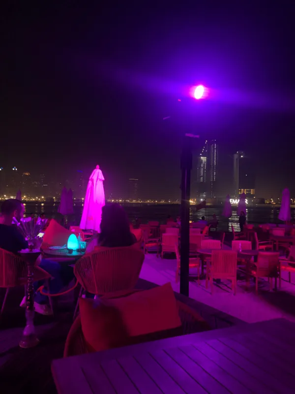 Orange Chameleon Restaurant and Lounge - Restaurants in Dubai - photo 4
