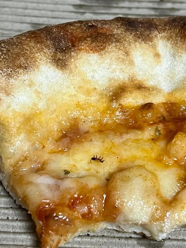  - مطاعم in الشارقة - photo 2