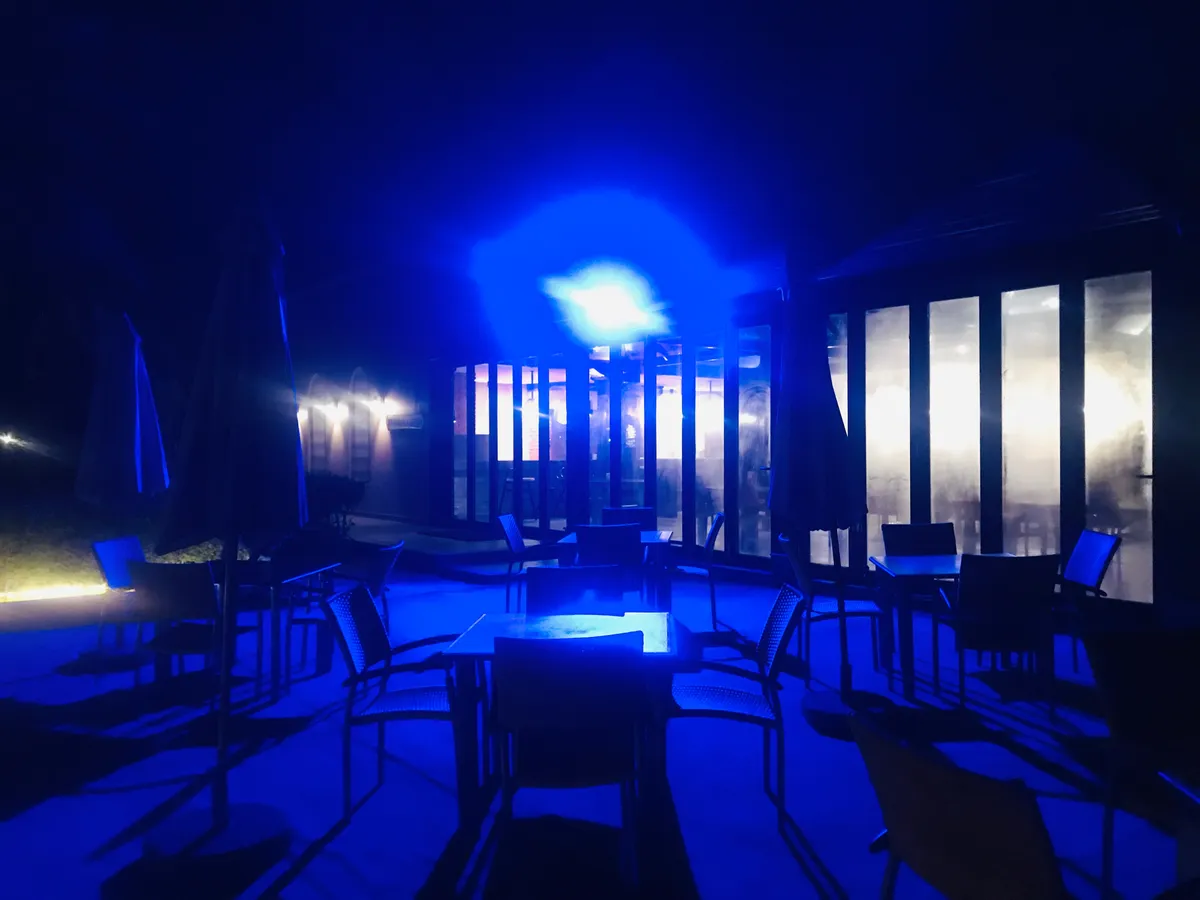 Bistro 1550 - Restaurants in Fujairah - photo 6