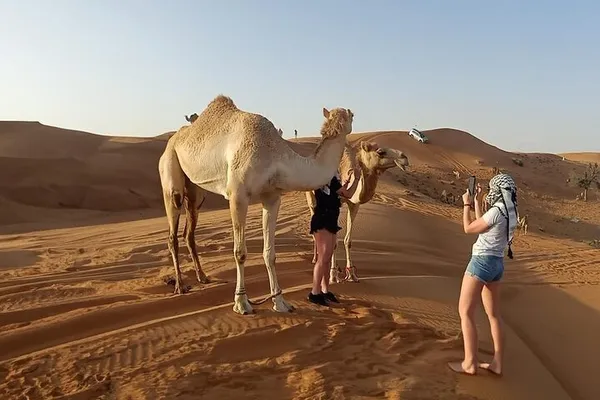  - سبا in دبي - photo 7