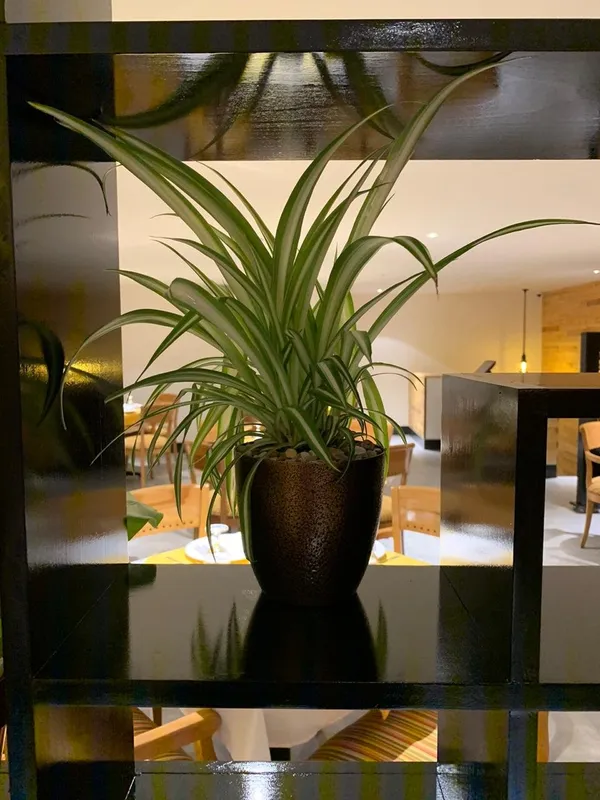 - مطاعم in الفجيرة - photo 8