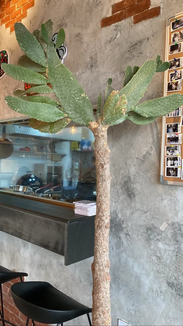 Ash By Azzam's Kitchen - Restaurants in Fujairah - photo 4