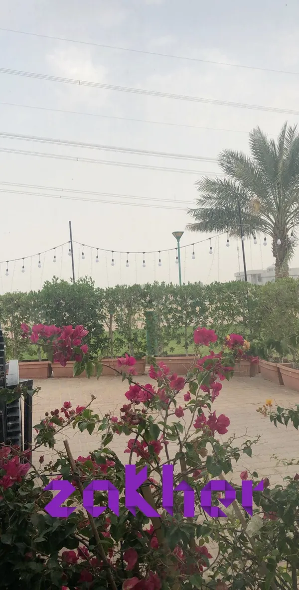 Indian Curry - Restaurants in Al Ain - photo 3