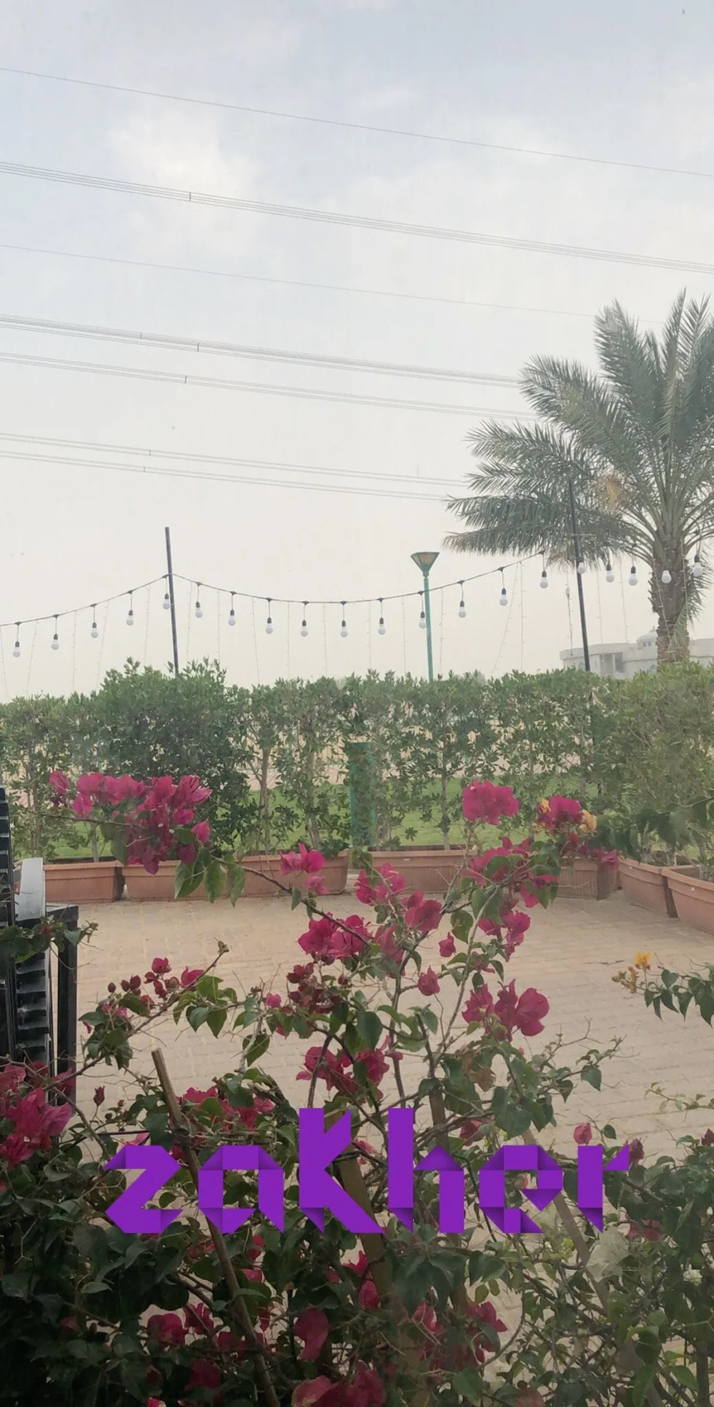 Indian Curry - Restaurants in Al Ain - photo 3