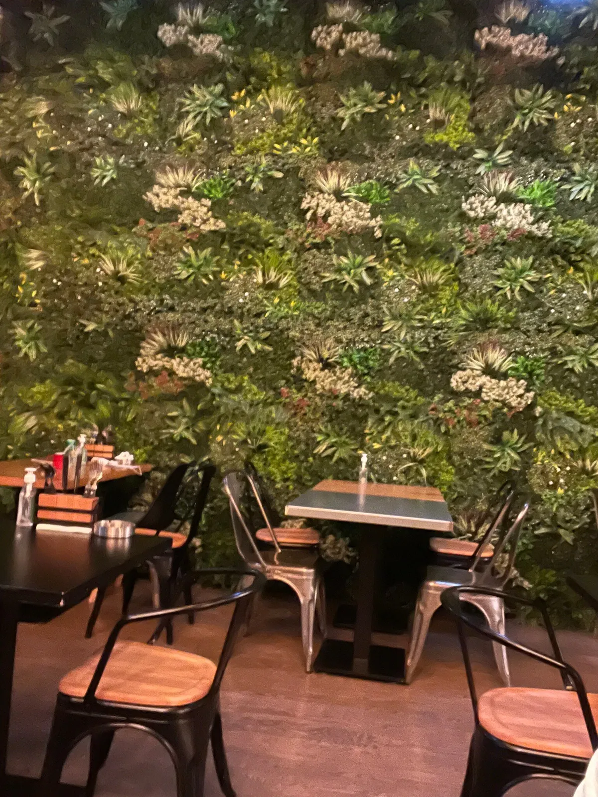  - مطاعم in أبو ظبي - photo 3