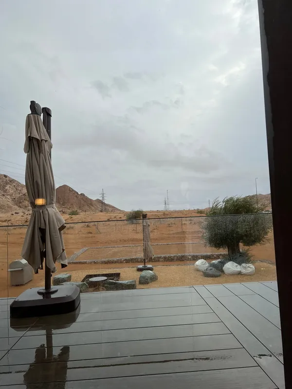 Mavia - Restaurants in Sharjah - photo 6