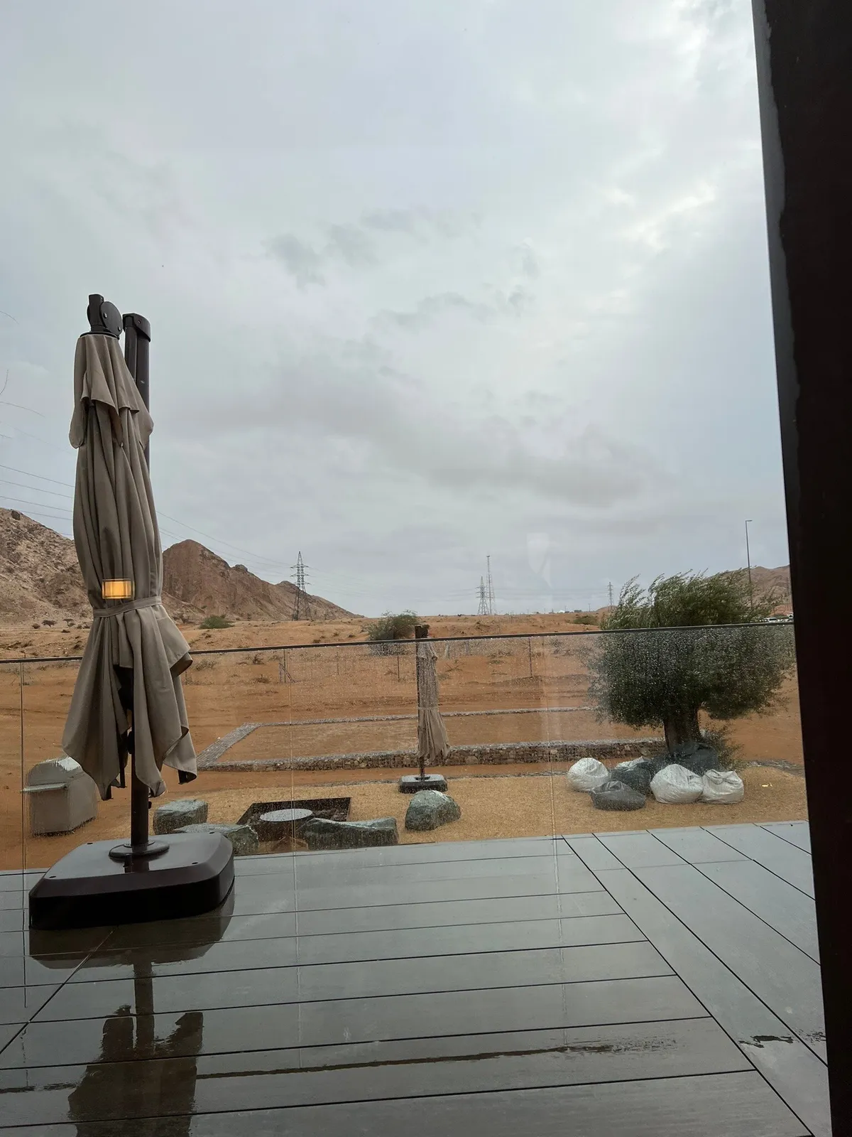 Mavia - Restaurants in Sharjah - photo 6