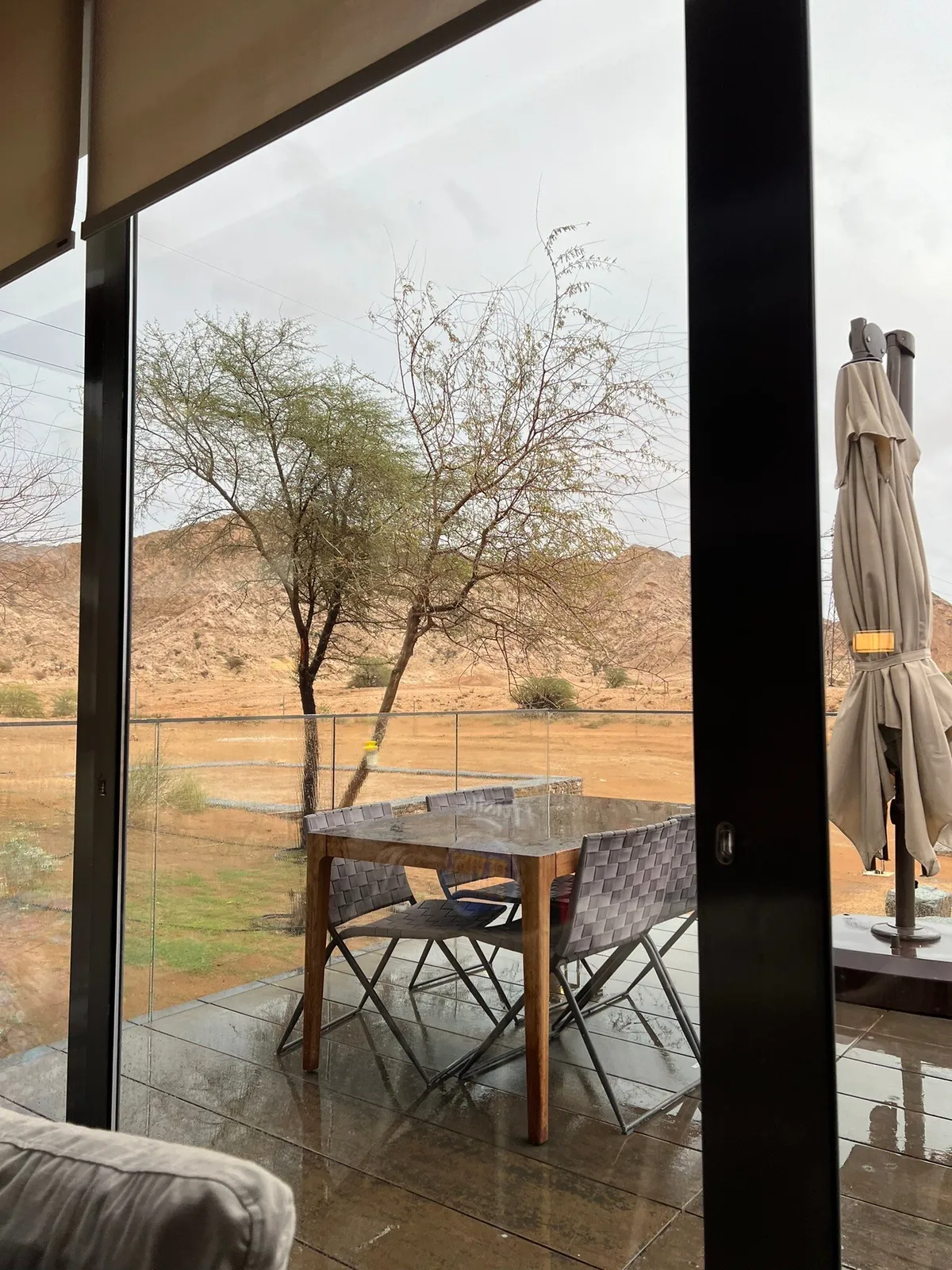 Mavia - Restaurants in Sharjah - photo 4