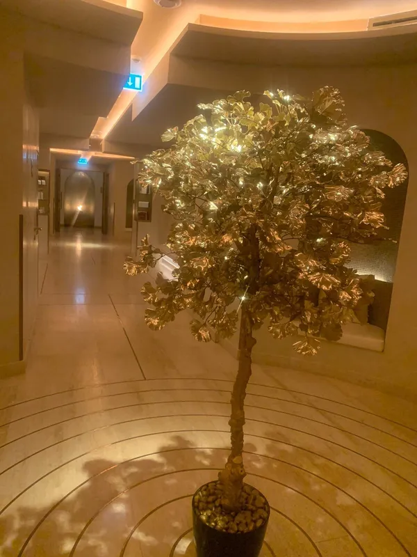 - سبا in دبي - photo 2