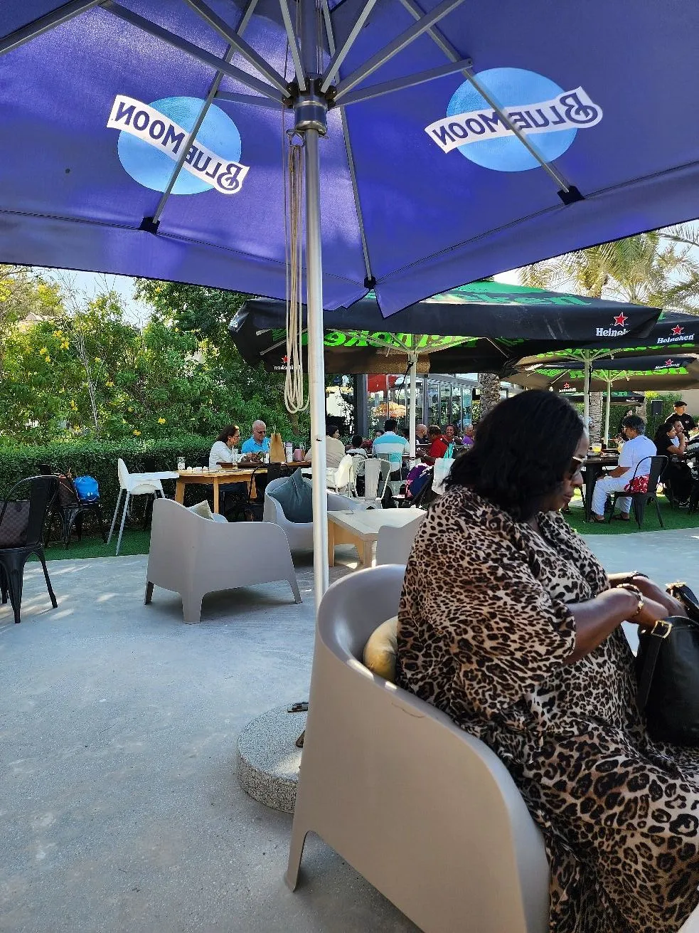  - مطاعم in أم القيوين - photo 7