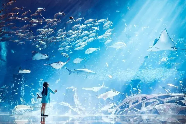  - سبا in دبي - photo 7