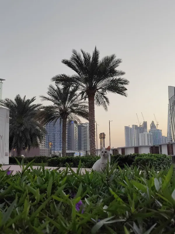 Business Bay