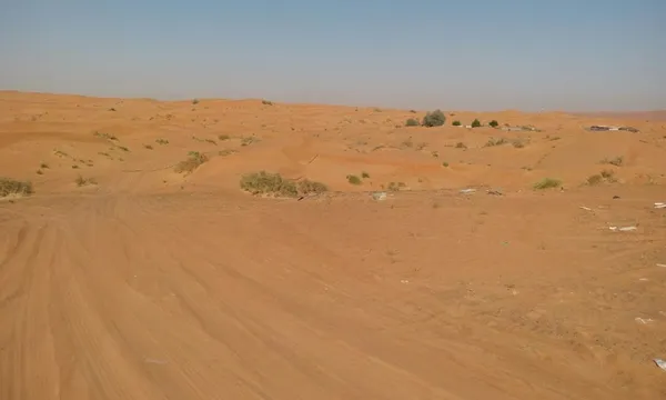 Al Faya