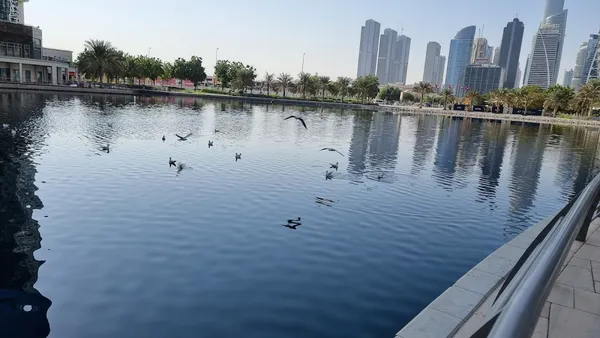 JLT