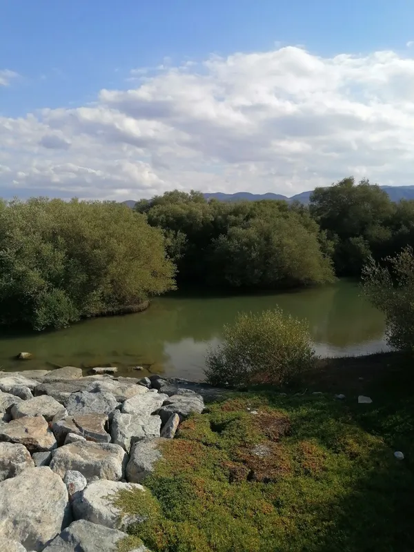 Al Qurum